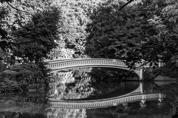 PhotoUno_NYC