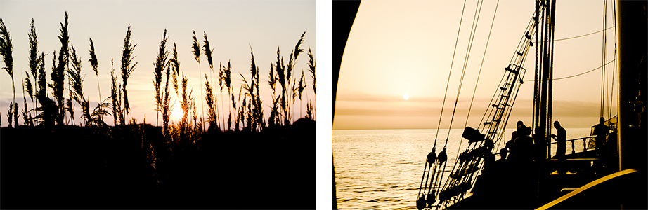 Golden hour Landscapes